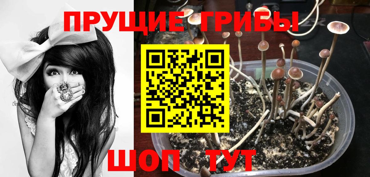 Галлюциногенные грибы Cubensis  Вход с VPN  Арзамас 