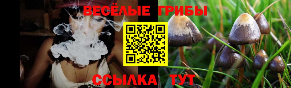 Галлюциногенные грибы Magic Shrooms Арзамас